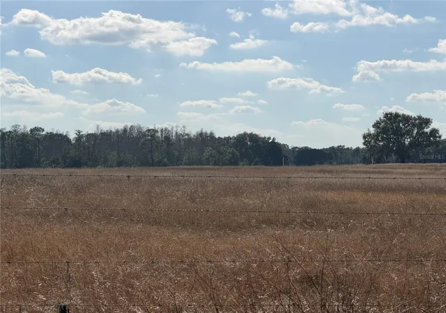 Photo 3 of Land for sale at Lake Erie, Groveland, FL 34736 | MLS# G5106384 | Listing updated on 2026-05-20