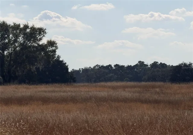 Photo 3 of Land for sale at Lake Erie, Groveland, FL 34736 | MLS# G5106384 | Listing updated on 2026-05-20