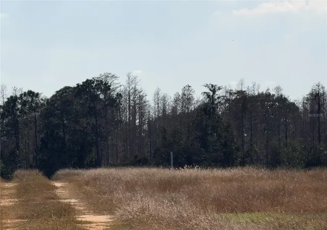 Photo 4 of Land for sale at Lake Erie, Groveland, FL 34736 | MLS# G5106384 | Listing updated on 2026-05-20