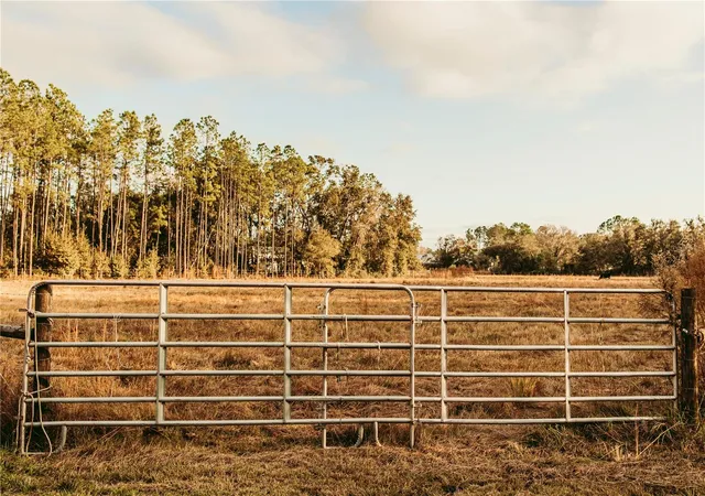 Land for sale at 0 N Dormany Rd, PLANT CITY, FL 33565 | MLS# TB8462727
