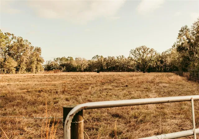 Photo 2 of Land for sale at 0 N Dormany Rd, Plant City, FL 33565 | MLS# TB8462727 | Listing updated on 2026-05-12