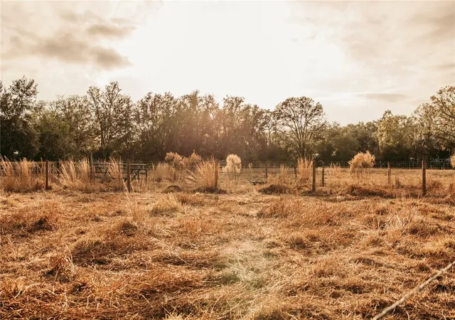 Photo 3 of Land for sale at 0 N Dormany Rd, Plant City, FL 33565 | MLS# TB8462727 | Listing updated on 2026-05-12