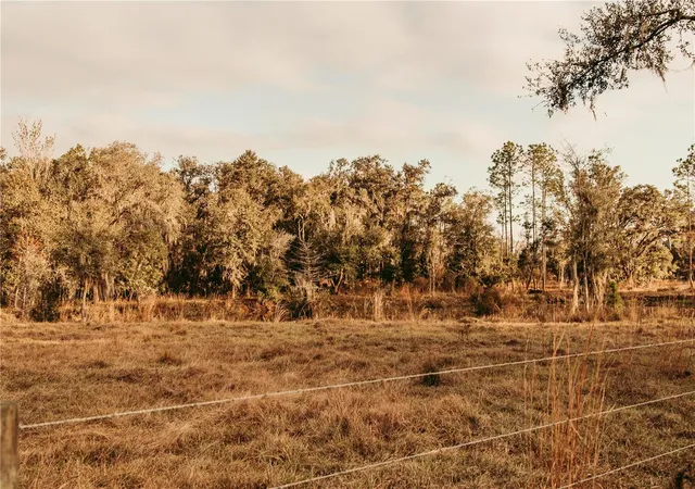 Photo 4 of Land for sale at 0 N Dormany Rd, Plant City, FL 33565 | MLS# TB8462727 | Listing updated on 2026-05-12