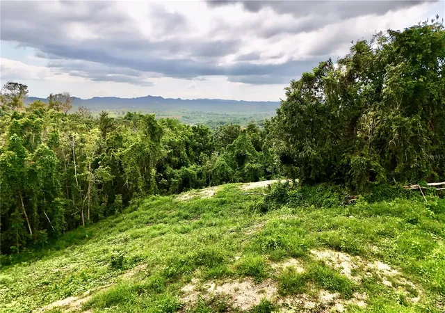 Photo 1 of Land for sale at Bo Cidral Pr 450, San Sebastian, PR 00685 | MLS# PR9118404 | Listing updated on 2026-07-28