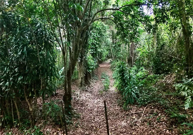 Photo 4 of Land for sale at Bo Cidral Pr 450, San Sebastian, PR 00685 | MLS# PR9118404 | Listing updated on 2026-07-28