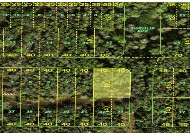 Photo 4 of Land for sale at Bermont Rd & 31, Punta Gorda, FL 33982 | MLS# TB8463052 | Listing updated on 2026-08-17