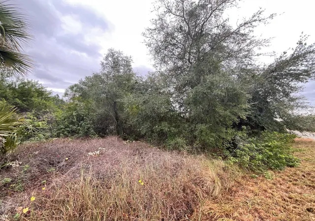 Photo 1 of Land for sale at 1608 Scott Ave, Lehigh Acres, FL 33972 | MLS# FC315214 | Listing updated on 2026-10-23