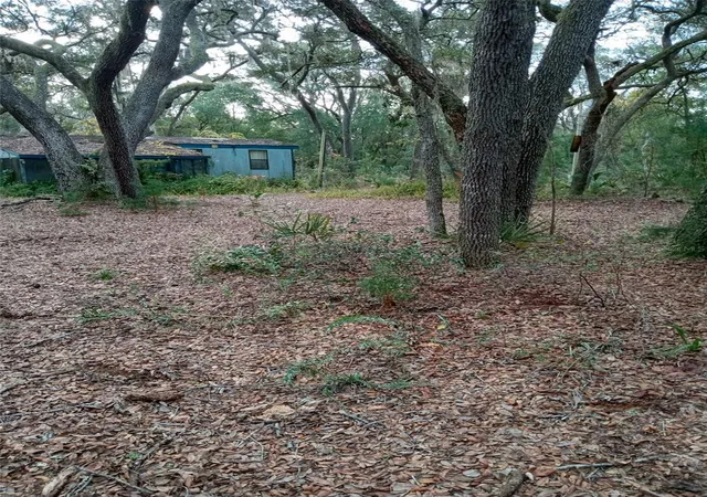 5th image of 28093 Se Hwy 42, Umatilla, FL 32784 | MLS# G5106506