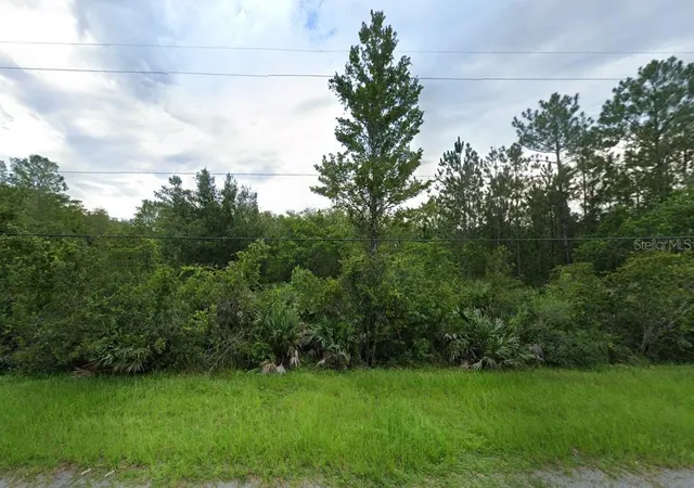 Photo 1 of Land for sale at 0 Coronet Ave, Orlando, FL 32833 | MLS# O6373013 | Listing updated on 2026-10-05