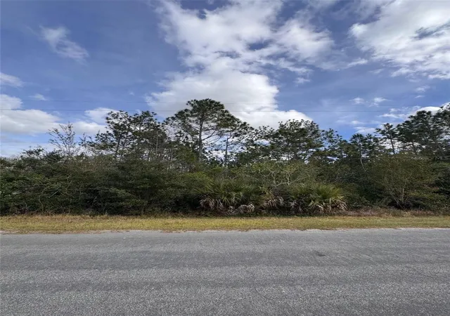 Photo 2 of Land for sale at 0 Coronet Ave, Orlando, FL 32833 | MLS# O6373013 | Listing updated on 2026-10-05