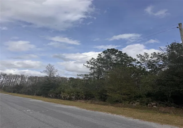 Photo 3 of Land for sale at 0 Coronet Ave, Orlando, FL 32833 | MLS# O6373013 | Listing updated on 2026-10-05
