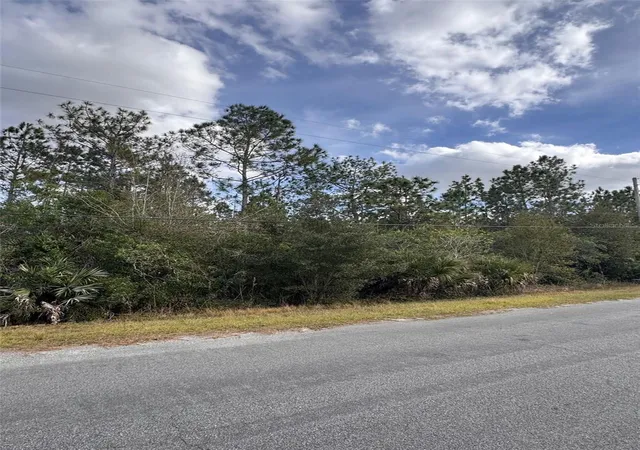 Photo 3 of Land for sale at 0 Coronet Ave, Orlando, FL 32833 | MLS# O6373013 | Listing updated on 2026-10-05