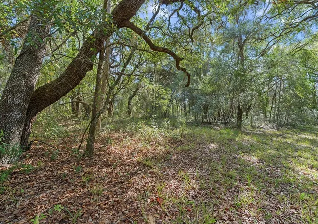Photo 3 of Sale Pending at 4290 W Norvell Bryant Hwy, Crystal River, FL 34429 | MLS# OM716485 | Listing updated on 2026-08-07
