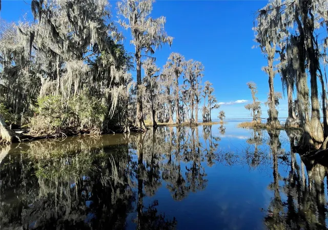 Photo 1 of Land for sale at 24510 Ne State Rd 26, Melrose, FL 32666 | MLS# GC536541 | Listing updated on 2026-07-09