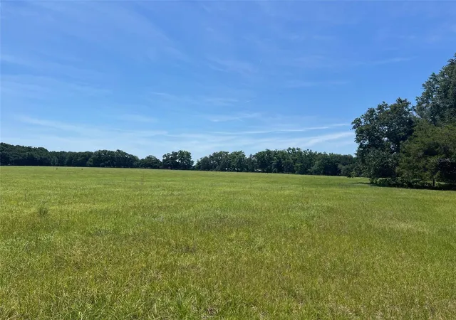 Photo 3 of Land for sale at 00 NW 165th Avenue, High Springs, FL 32643 | MLS# GC536557 | Listing updated on 2026-07-26