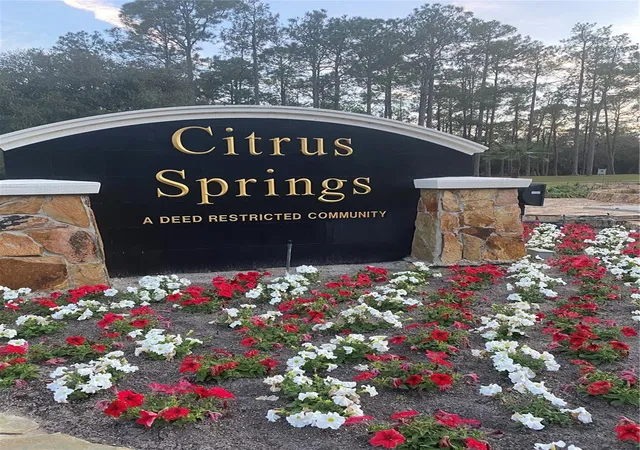 Photo 3 of Land for sale at 9540 N Pineview Way, Citrus Springs, FL 34434 | MLS# OM716607 | Listing updated on 2026-07-06