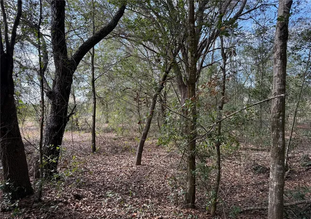 Photo 1 of Land for sale at Se 92nd Court, Belleview, FL 34420 | MLS# OM716633 | Listing updated on 2026-09-24
