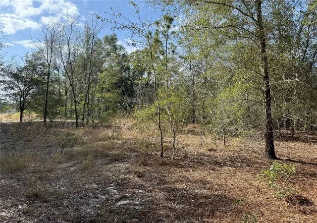 4th image of Se 92Nd Ct, Belleview, FL 34420 | MLS# OM716633
