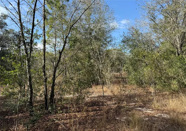 2nd image of Se 92nd Ct, Belleview, FL 34420 | MLS# OM716633