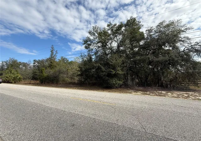 1st image of Se 92nd Ct, Belleview, FL 34420 | MLS# OM716633