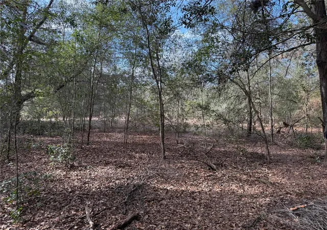 5th image of Se 92Nd Ct, Belleview, FL 34420 | MLS# OM716633