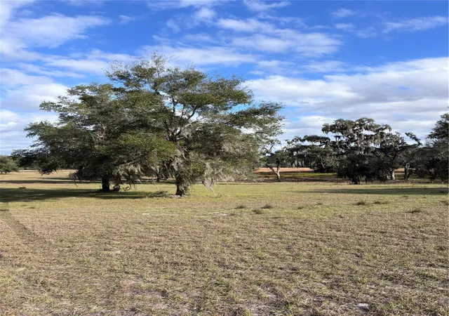 Photo 3 of Land for sale at Tbd NW 127 Court, Ocala, FL 34482 | MLS# OM716634 | Listing updated on 2026-04-26