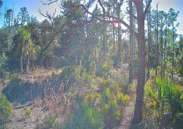 Photo 3 of Land for sale at 13093 Harbison Ave, Port Charlotte, FL 33953 | MLS# C7520249 | Listing updated on 2026-06-20
