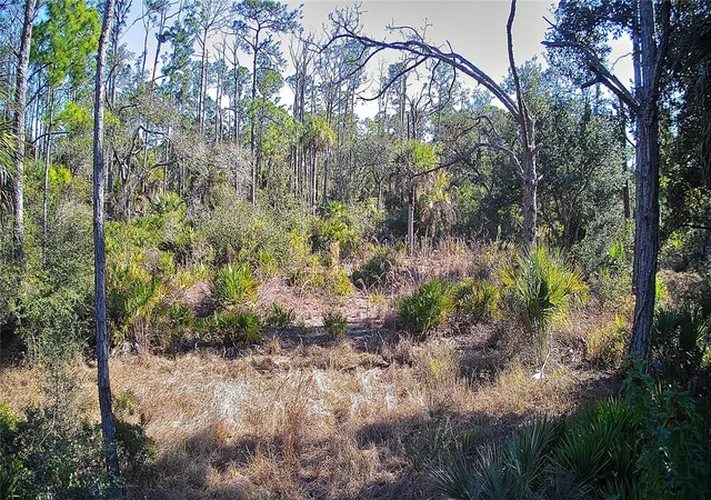 Photo 4 of Land for sale at 13093 Harbison Ave, Port Charlotte, FL 33953 | MLS# C7520249 | Listing updated on 2026-06-20