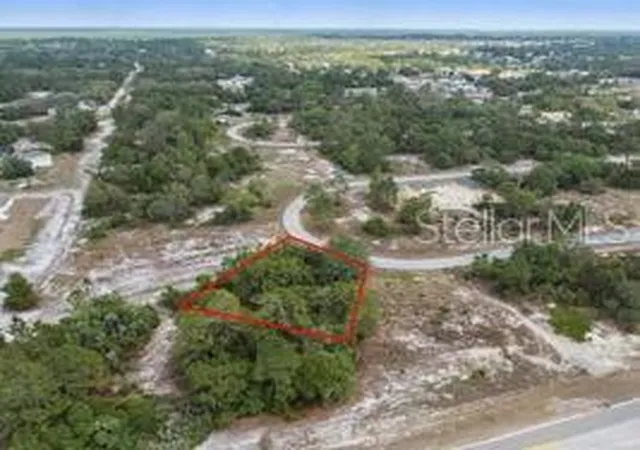 Homes for sale in Kissimmee, FL | 1329 Homosassa Ct, Kissimmee, FL 34759 | MLS# O6374349