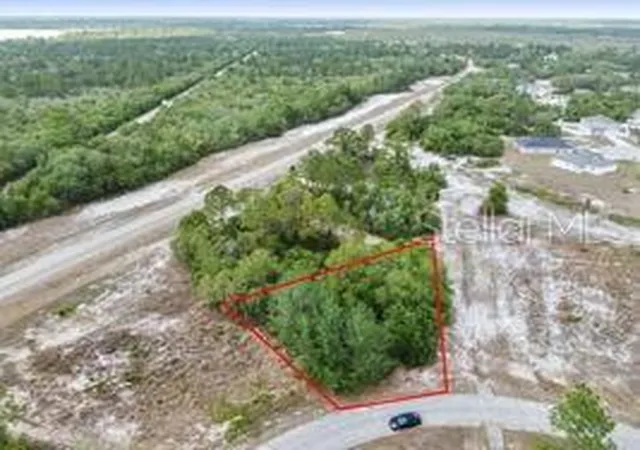 Homes for sale in Kissimmee, FL | 1329 Homosassa Ct, Kissimmee, FL 34759 | MLS# O6374349