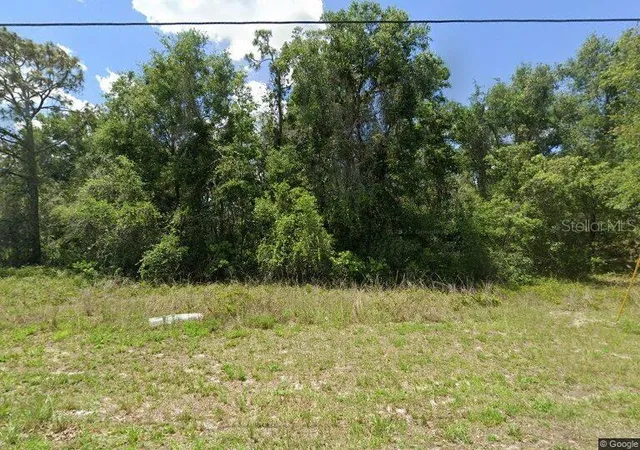 Homes for sale in Dade City, FL | Idle A While Cir, Dade City, FL 33523 | MLS# TB8465677