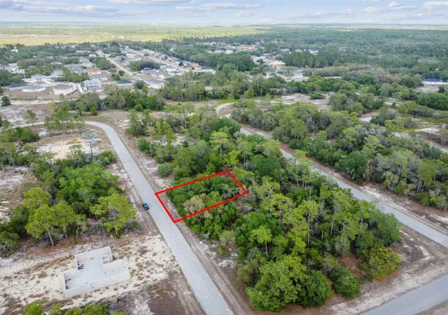 Homes for sale in Kissimmee, FL | 1305 Homosassa Ct, Kissimmee, FL 34759 | MLS# O6374670