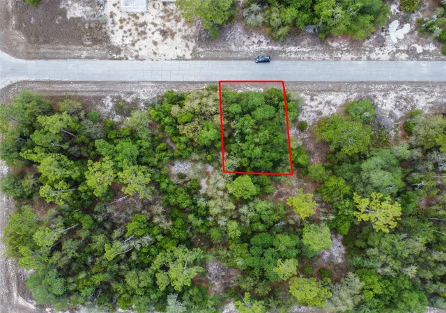 Homes for sale in Kissimmee, FL | 1305 Homosassa Ct, Kissimmee, FL 34759 | MLS# O6374670