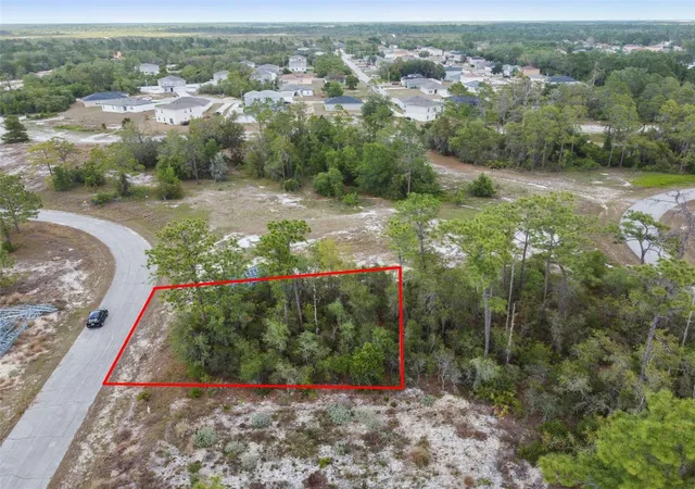 Homes for sale in Kissimmee, FL | 1315 Homosassa Ct, Kissimmee, FL 34759 | MLS# O6374672