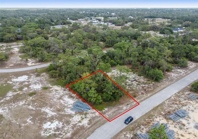 Homes for sale in Kissimmee, FL | 1315 Homosassa Ct, Kissimmee, FL 34759 | MLS# O6374672