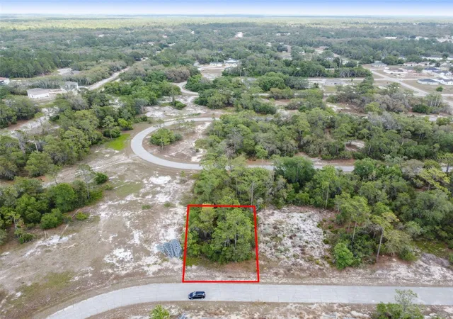 Homes for sale in Kissimmee, FL | 1315 Homosassa Ct, Kissimmee, FL 34759 | MLS# O6374672