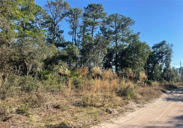 1st image of Rose Bud Dr, Deland, FL 32720 | MLS# O6374821