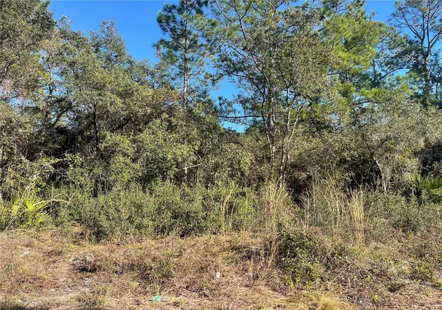 2nd image of Rose Bud Dr, Deland, FL 32720 | MLS# O6374821
