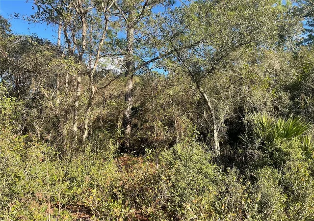 3rd image of Rose Bud Dr, Deland, FL 32720 | MLS# O6374821