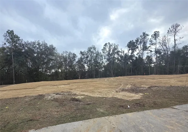Homes for sale in Lake City, FL | 525 Sw Bellflower Dr, Lake City, FL 32024 | MLS# GC536730