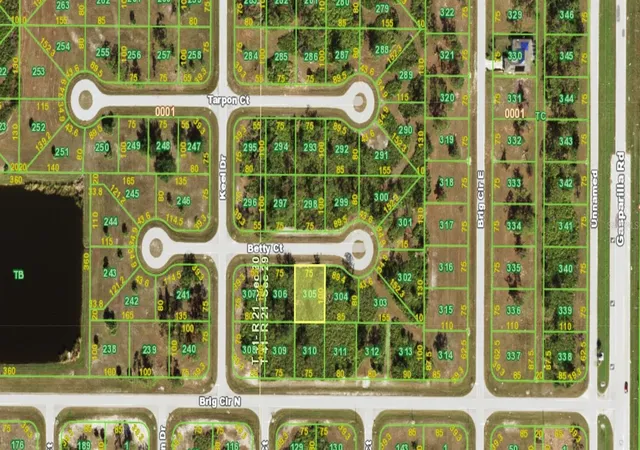 Photo 2 of Land for sale at 11 Betty Ct, Placida, FL 33946 | MLS# TB8466137 | Listing updated on 2026-10-13