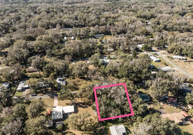 Homes for sale in Lake Panasoffkee, FL | 000 Cr 422, Lake Panasoffkee, FL 33538 | MLS# G5106951