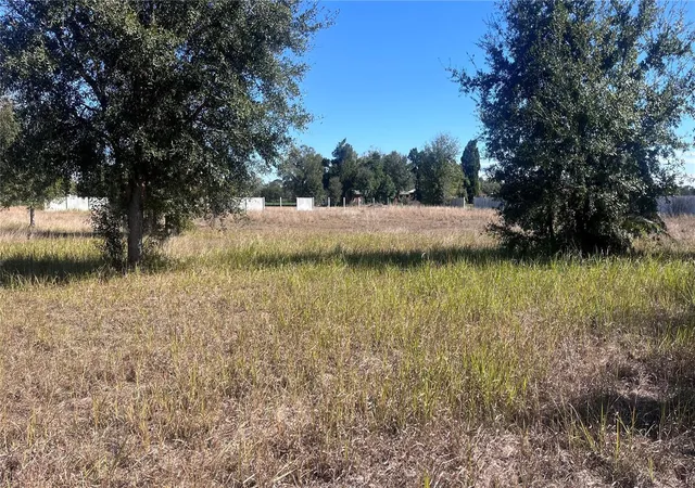 13th image of 13415 Cocopah Ln, Dover, FL 33527 | MLS# TB8466346