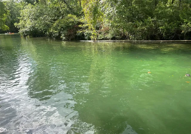 Photo 3 of Land for sale at 6120 Waverly Rd, Weeki Wachee, FL 34607 | MLS# TB8466376 | Listing updated on 2026-01-20