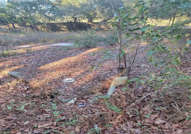 Photo 2 of Land for sale at 107 Lakeview Way, Interlachen, FL 32148 | MLS# O6375183 | Listing updated on 2026-04-21