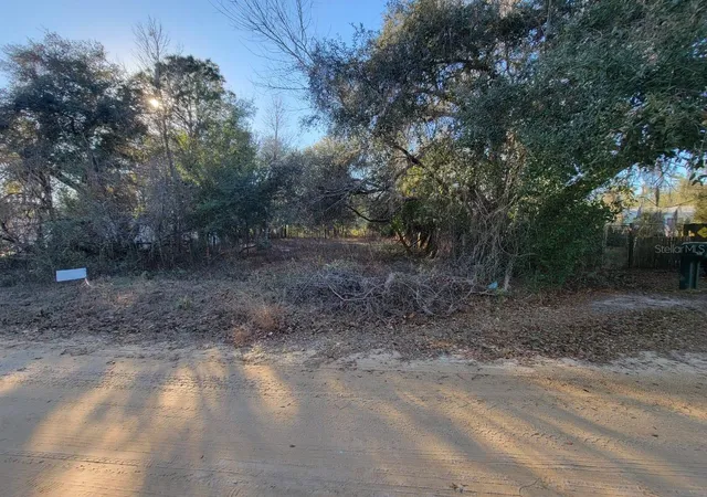 Photo 3 of Land for sale at 107 Lakeview Way, Interlachen, FL 32148 | MLS# O6375183 | Listing updated on 2026-04-21
