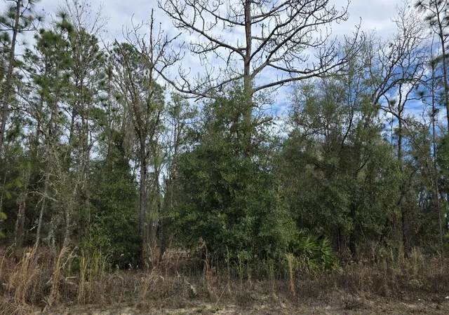 4th image of 141St, Ocala, FL 34481 | MLS# O6375191