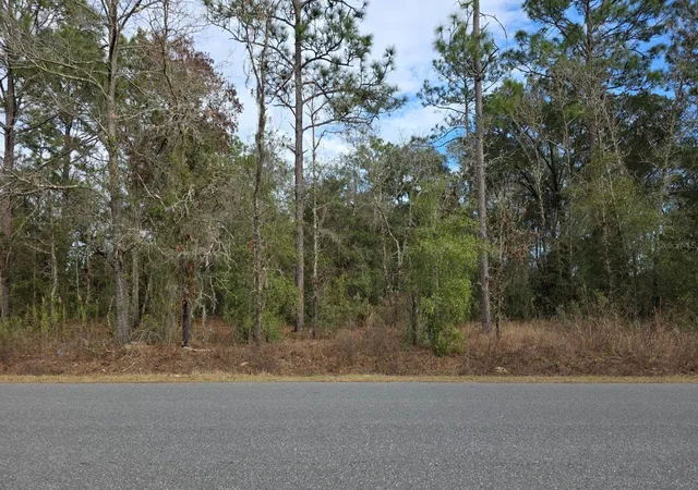 5th image of 140th, Ocala, FL 34481 | MLS# O6375196