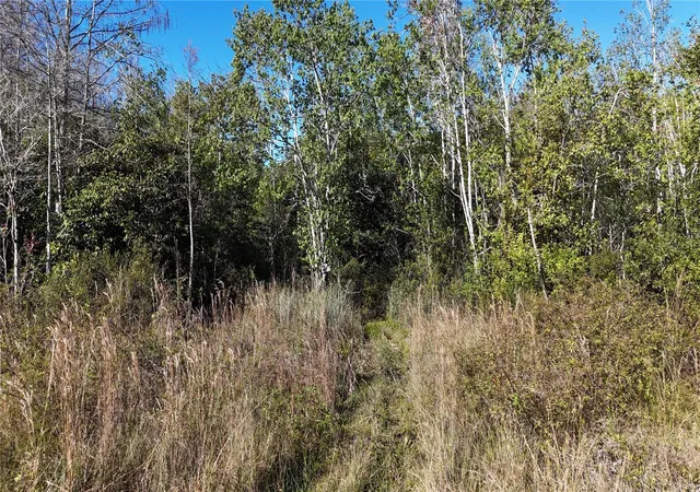 Photo 2 of Land for sale at N/a, Naples, FL | MLS# OM716996 | Listing updated on 2026-08-20