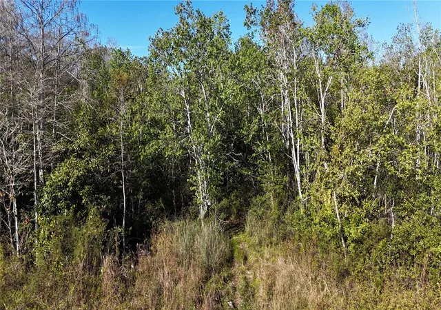 Photo 3 of Land for sale at N/a, Naples, FL | MLS# OM716996 | Listing updated on 2026-08-20